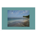 Beach Beautiful posters