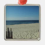 Beach Beauty Ornament