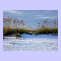Beach Beauty, S Cyr posters