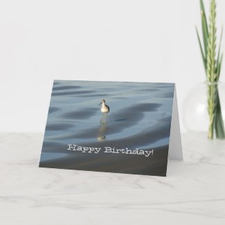 Beach Bird Happy Birthday 1 card