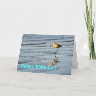 Beach Bird Happy Birthday 2 card