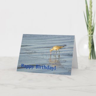 Beach Bird Happy Birthday 3 card