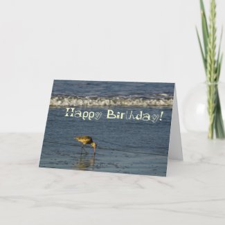 Beach Bird Happy Birthday 4 card