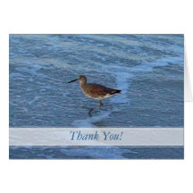 Beach Bird Thank You Notes Cards