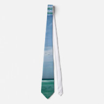 Beach Birds tie by patsarts Beach Birds tie