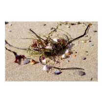 beach bouquet posters