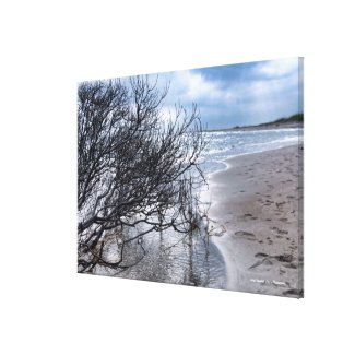 Beach Branch Wrapped Canvas Print