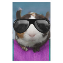 Beach bum guinea pig personalized stationery