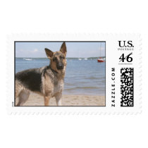 Beach Bum Stamp