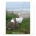 Beach Bunnies Poster posters