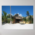 Beach Cabana posters