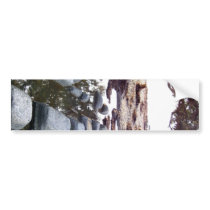 Beach Causeway Bumper Sticker