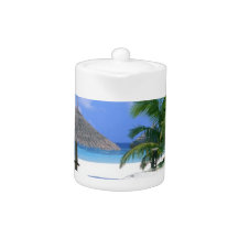 Beach Chair