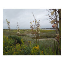 Beach Clouds and Wildflowers - Oak Island, NC Photo