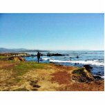 Beach Coast Ocean Water Sea 5 Photo Sculpture