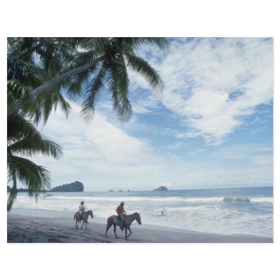 Beach, Costa Rica Custom Flyer by beautifulclicks