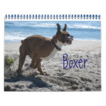 Beach Days with a Boxer Calendars