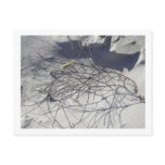 beach debris post cards