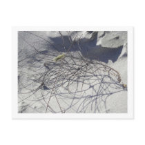 beach debris postcards