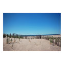 Beach Dune posters