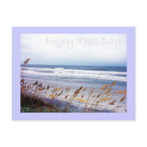 Beach - Enjoy This Day - Postcard by sharonrhea Beach - Enjoy This Day - Postcard