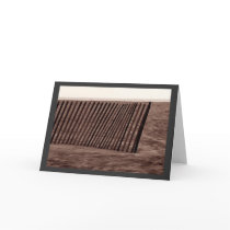 Beach Fence Greeting Cards