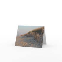 Beach Fence Cards