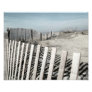 Beach Fence