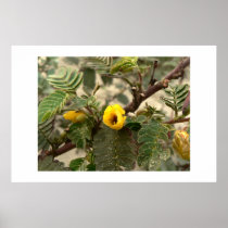 Beach flower. posters