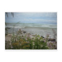 Beach Flowers 2 postcard