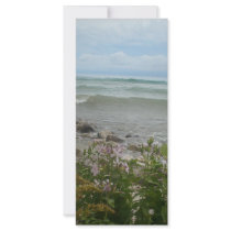 Beach Flowers 2 rack cards by KatsEyes Beach Flowers 2 rack cards