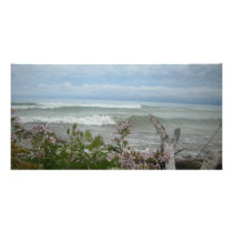 Beach Flowers photo cards by KatsEyes Beach Flowers photo cards