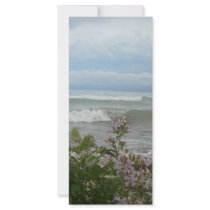 Beach Flowers rack cards by KatsEyes Beach Flowers rack cards