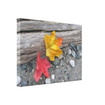 Beach Garden Canvas Prints