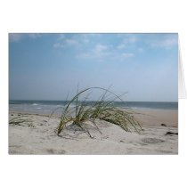 Beach Grass cards