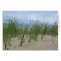 Beach grass cards
