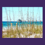 Beach Grass Painted Photo Poster posters