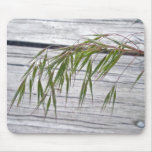 nature, plant, grass, seeds, wood, beach, shore,