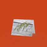 nature, plant, wild, beach, grass, seed, shore,