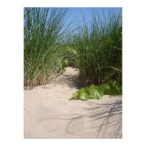 Beach Grass, Warren Dunes, MI posters by AnneBlue Beach Grass, Warren Dunes, MI posters