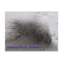 Beach Grasss Bethany Postcard