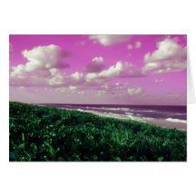 beach greeting card beautiful lovely work