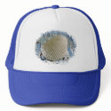 Beach Hat Anyone! by carrollgraphix Beach Hat Anyone!