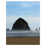 beach haze flyers