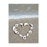 Beach Heart in Seashells Postcards