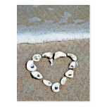 Beach Heart in Seashells Postcards