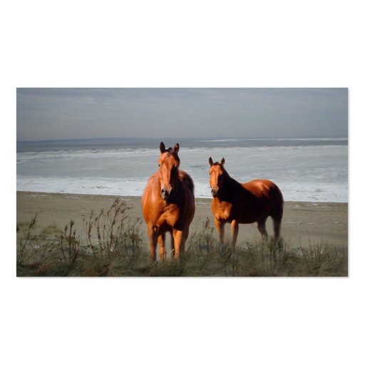 Beach Horses Business Card (front side)