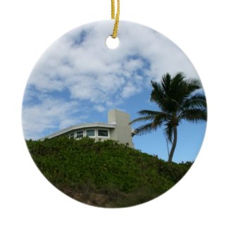 Beach House on Hill with sky and palm tree ornament