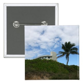 Beach House on Hill with sky and palm tree Pins