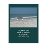 Beach Ibis Postcard
